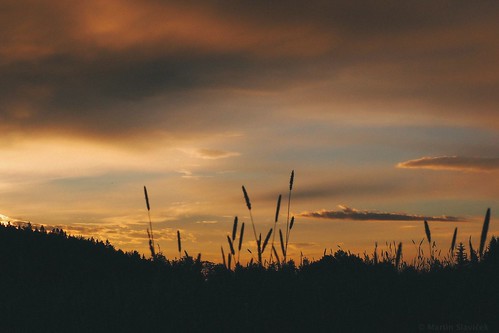 morning sky orange sun sunlight nature silhouette clouds sunrise colours outdoor natur olympus czechrepublic 2015 cze brloh southbohemianregion olympusepl7 epl7