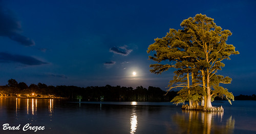 trees moon reflection water nikon northcarolina moonrise sound d800 edenton albemarle 24120mm