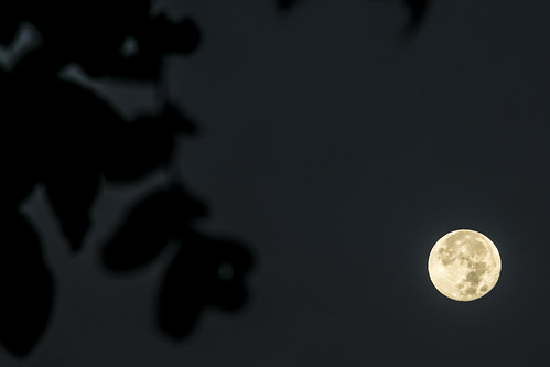 moon luna full llena sunrise