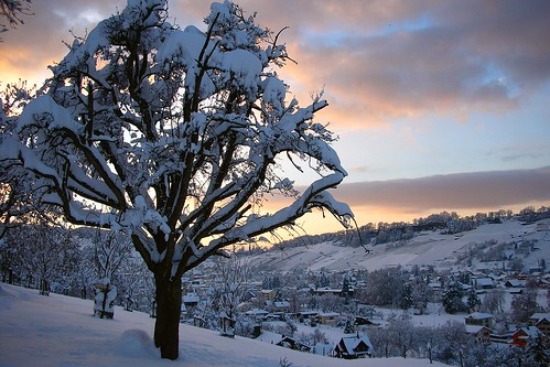 schnee winter snow geotagged schweiz switzerland evening abend europe swiss kecko ostschweiz 2006 rheineck thal lutzenberg specnature swissphoto geo:lat=47464776 geo:lon=9581167