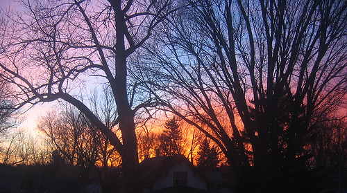 morning pink blue trees sunset orange sun minnesota silhouette set sunrise catchycolors spring 2006 east april morris rise