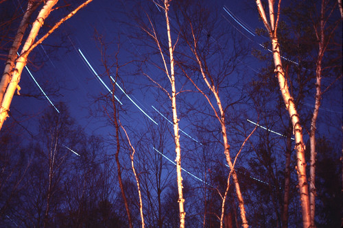 trees sky slr film nature night lens stars geotagged major big nikon exposure time 1988 slide timeexposure astronomy ursamajor ursa startrails bigdipper dipper interestingness39 i500 i100 geo:lat=45384466 geo:lon=79199409 abigfave