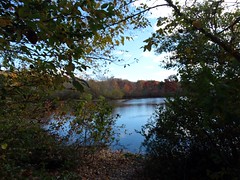 Wantagh - Twin Lakes Preserve - Autumn (54)