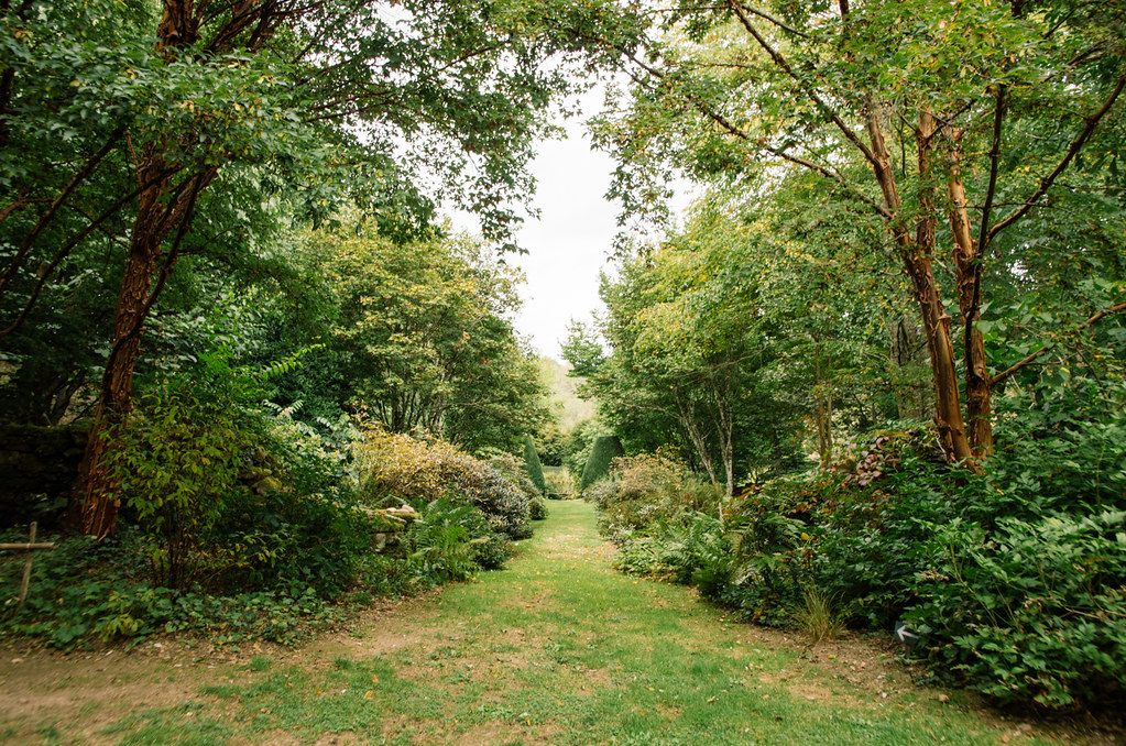 Arboretum de la Sédelle -écotourisme Creuse - carnet de voyage France