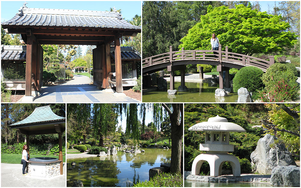 San Jose Ca Japanese Friendship Garden Javie Go Round