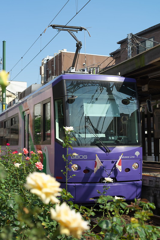 Tokyo Train Story 都電荒川線 2015年7月20日