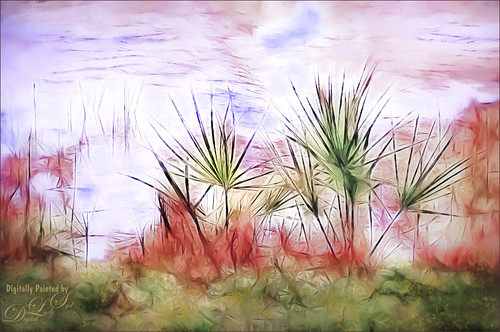 Abstract image of the Viera Wetlands