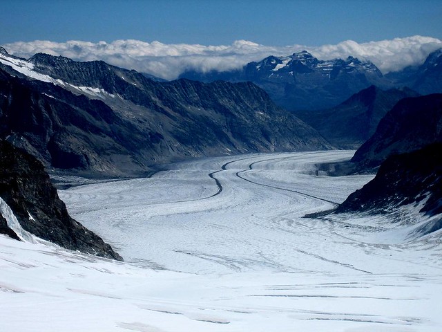 glacera