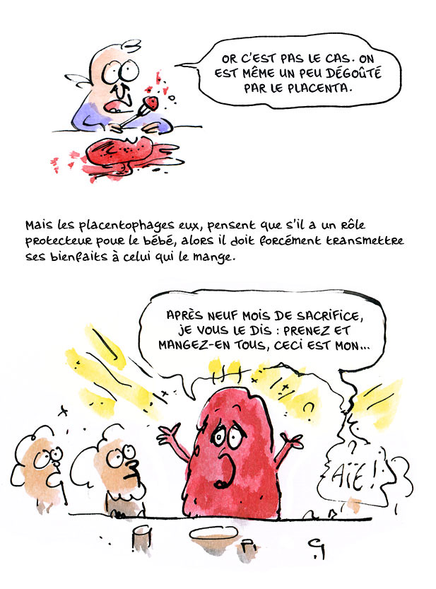 placenta06