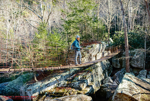 canoneos7dmkii collins collinsgulf collinsriver hiking nature palmer sigma1835f18dchsma southcumberlandstatepark tnstateparks tennessee usa unitedstates winter outdoors geo:location=collins camera:model=canoneos7dmarkii camera:make=canon exif:isospeed=100 geo:country=unitedstates geo:lon=855875 geo:city=palmer geo:state=tennessee exif:aperture=ƒ20 geo:lat=35404445 exif:model=canoneos7dmarkii exif:lens=1835mm exif:focallength=19mm exif:make=canon