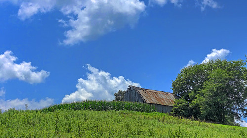 tree clouds barn sony hill hdr rx100m3