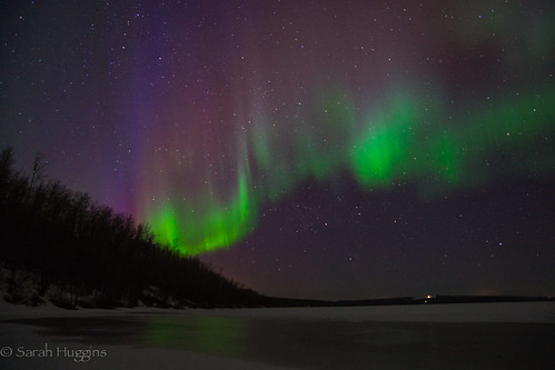 Northern Lights at Charlie Lake