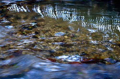 park nature water outdoor poland polska natura woda smallriver rzeczka prądnik światłocień coloursofwater chairscuro barwywody