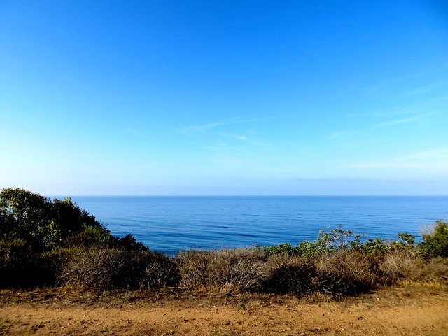 blue horizon