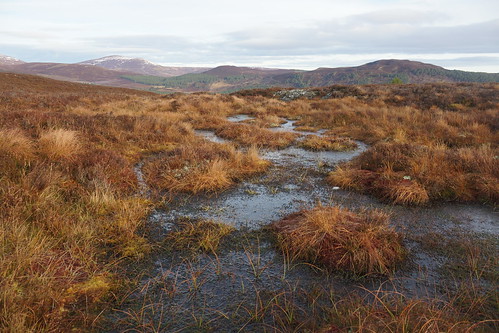 braemar moor pool water highlands scottishhighlands scotland aberdeenshire
