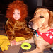 nick the scary lion and jed the service dog   dscf6977