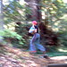 rachel as sasquatch in la honda redwoods   dscf8919