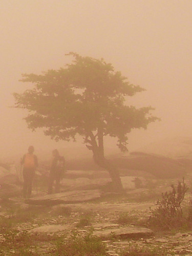 In Eleni's blog: Η ομίχλη στα βουνά της Ικαρίας είναι ροζ!