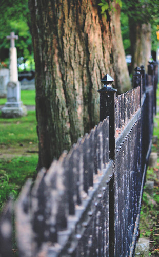 tree colors cemetery fence couleurs arbre cimetière cloture