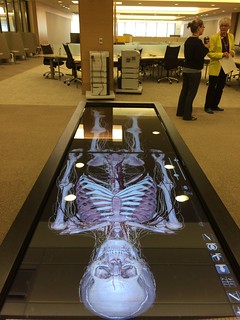 New THL: Anatomage
