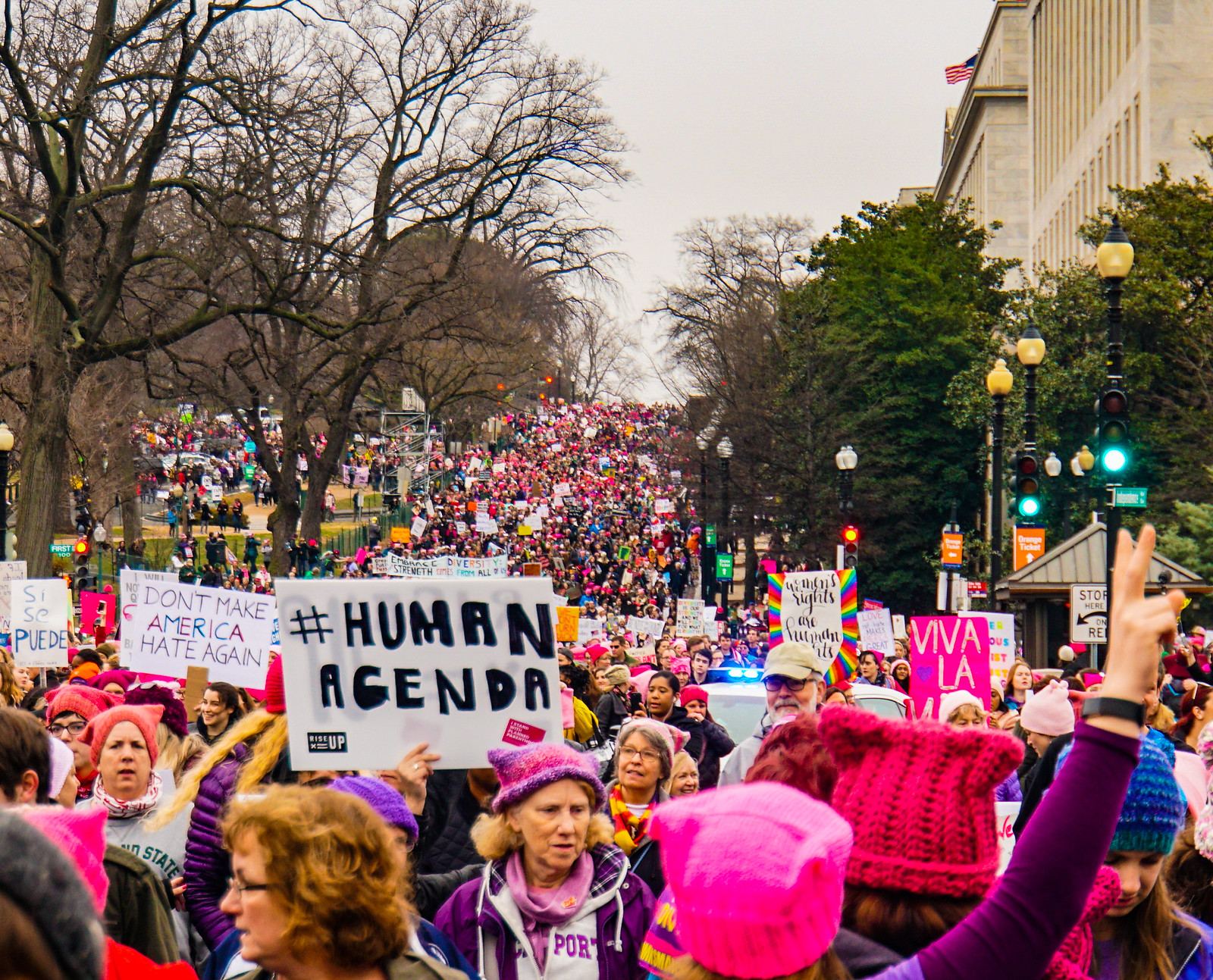 2017.01.21 Women's March Washington, DC USA 00094