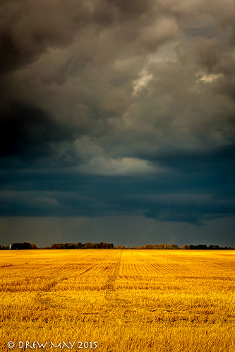 county autumn trees sky canada storm clouds landscape photography farm harvest may drew alberta westlock
