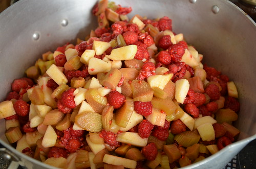 raspberry, rhubarb and apple jam Jul 15 1