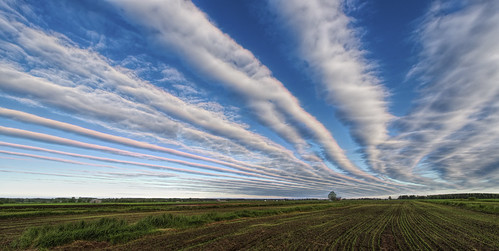 summer sky cloud abstract field clouds finland landscape nikon outdoor stripes stripe serene d800 naturalphenomenon 1424mm world´sbestnikonshot jyrkiliikanen