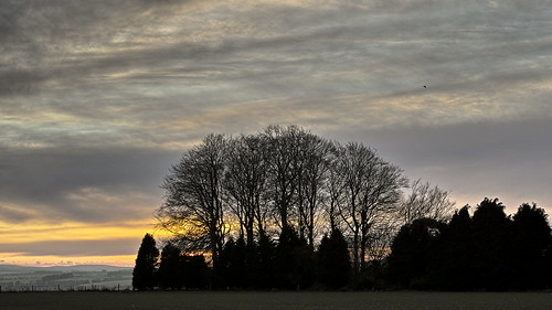 wiltshire marlborough trees treescape landscape copse stand sigmadp2 merrill clouds cloudscape sunset ogbournestgeorge