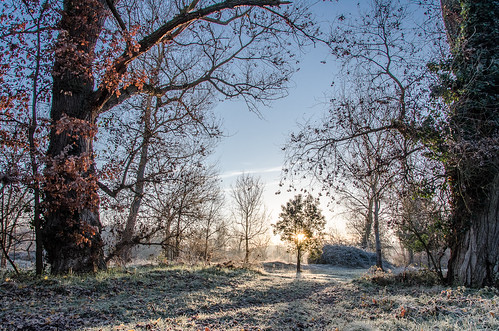 campagne countryside d5100 dslr france hiver landscape nature nikon paysage sunrise toulouse