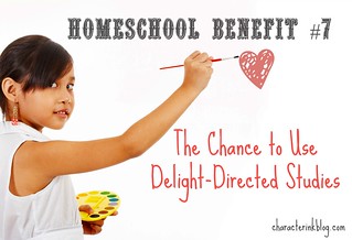 Homeschool Benefit No. 7 - The Chance to Use Delight-Directed Studies