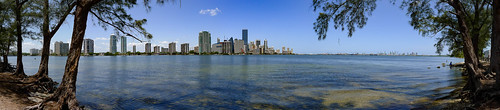 Miami Skyline-003