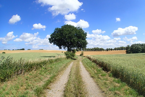 track farm route cycle mecklenburgvorpommern