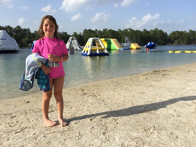 Flamingo Lake, Jacksonville, FL 2015
