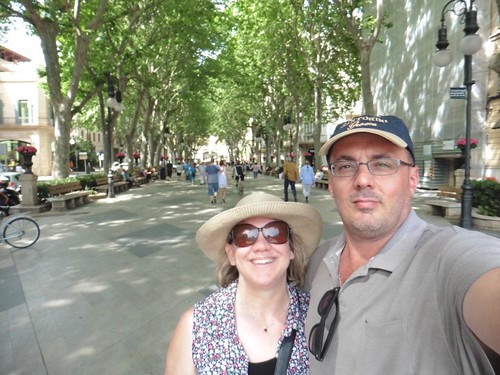 Avenue of trees in Majorca