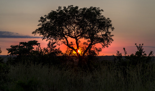 sunrise southafrica krugernationalpark mpumalanga krugerpark kruger krugersunrise