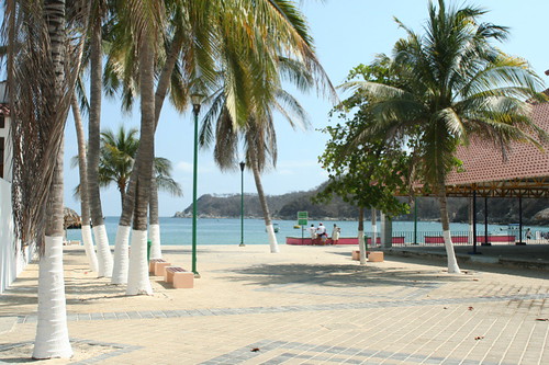 beach water coast palm spanish huatulco bahiashuatulco santacruzdehuatulco treemexicooaxacapacific