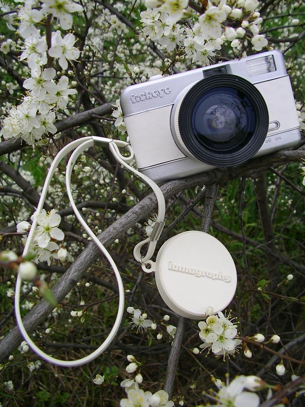 a fisheye lomography camera in spring