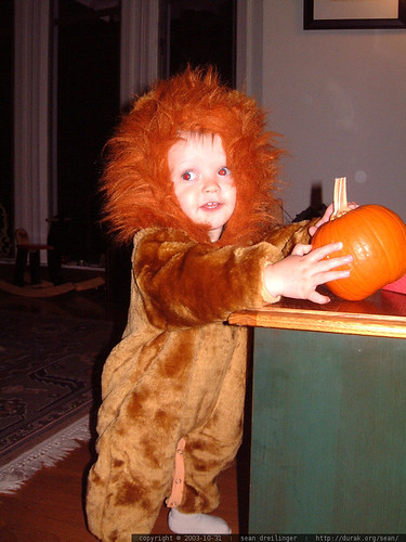 nick the scary lion lifting a baby pumpkin   dscf6939