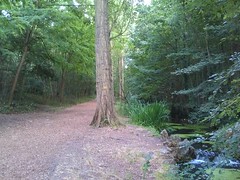 Bois de Vincennes