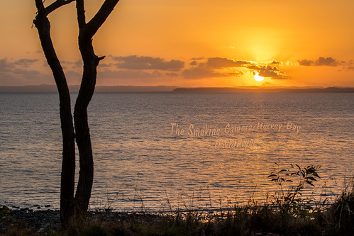 sunrise herveybaycanon5dmk4 canon100400mmmk2 silhouette wow seaside paradise art image