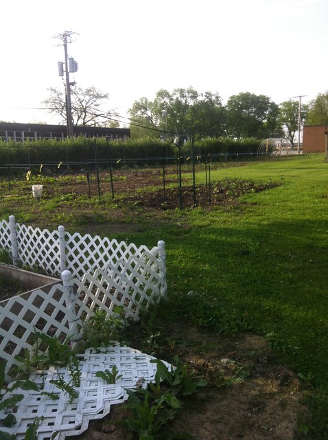 Pumpkin Patch Planting (and WEEDS/weeding!)
