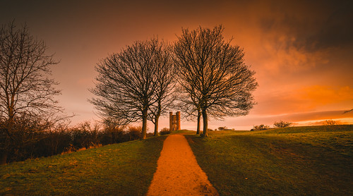hill sky branches nationaltrust dxo branch beacon horizon snowshill sunrise lightroom sunup tower worcestershire british historic dawn folly sun high green wildlife fields sunshine footpath architecture yellow top track summit red d7100 detail broadway rise clear nikon walking fishhill goldenhour hilltop castle golden beautiful nature light cotswolds cotswoldway blue countryside exposure landscape