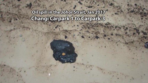 Oil spill in the Johor Strait (5 Jan 2017) from Changi Carpark 1 to Carpark 3