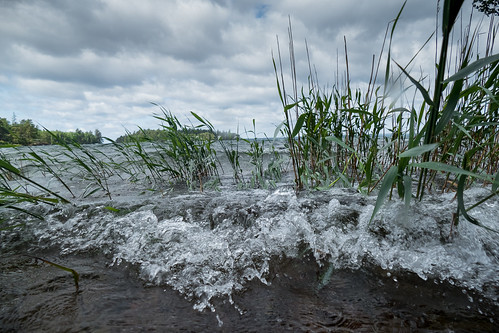 lake nature water see wasser sweden schweden natur skandinavien wave panasonic scandinavia welle vättern 2015 fz1000