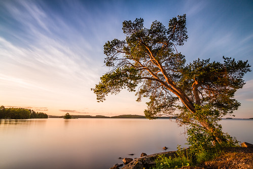 lake tree sunrise dawn kuopio kallavesi nd1000