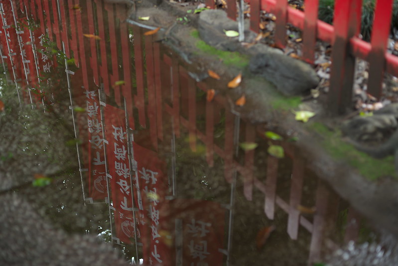 東京路地裏散歩 上野 下谷神社 2015年7月5日
