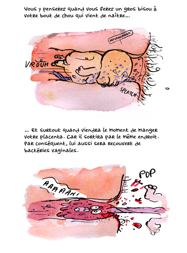 placenta11