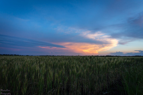sunset storm dusk wheat bluesky kansas winfield stormysky stormcloud wheatfield cowleycounty