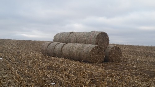 Bales on land